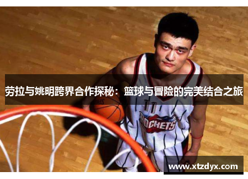 劳拉与姚明跨界合作探秘：篮球与冒险的完美结合之旅