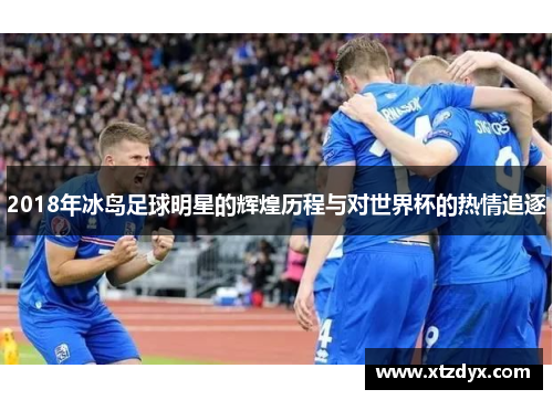 2018年冰岛足球明星的辉煌历程与对世界杯的热情追逐